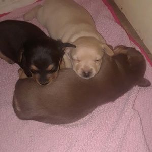 Meet your Posher, Carla